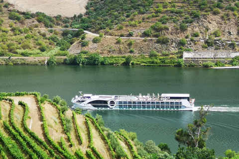 Ab Porto: 2 Weinregionen, privates Boot und Mittagessen mit dem Chefkoch