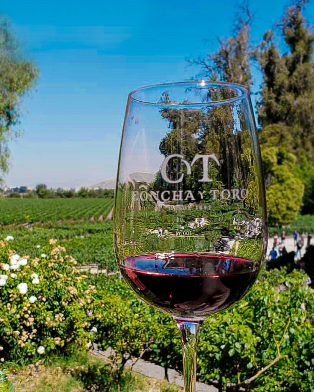 Ab Santiago: Besuch des Weinguts Concha y Toro mit Verkostung
