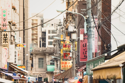 Tokyo: Private Customised Guided City Tour with Photographer