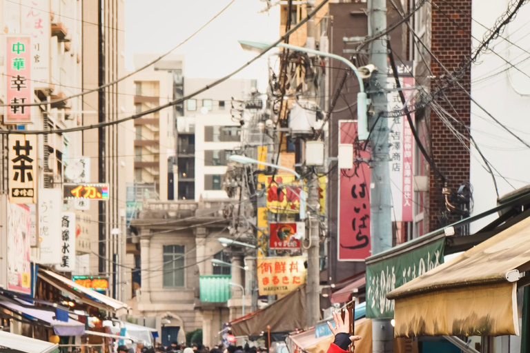 Tokyo: Private Customised Guided City Tour with Photographer