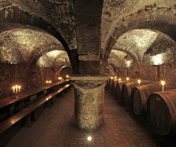 Treviri: tour alla scoperta della cantina più antica della Germania