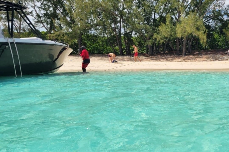 Nassau: excursion privée en hors-bord, plongée avec tuba et nage avec des cochonsVisite de groupe