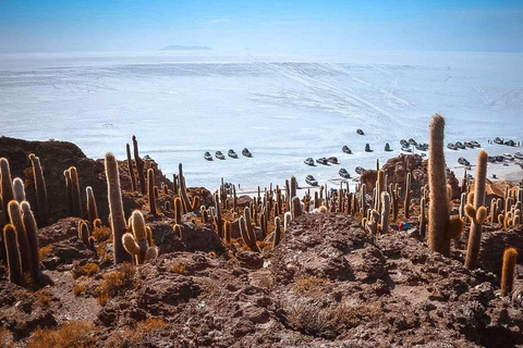 La Paz (La Paz) San Pedro de Atacama utflykt med saltlägenheter