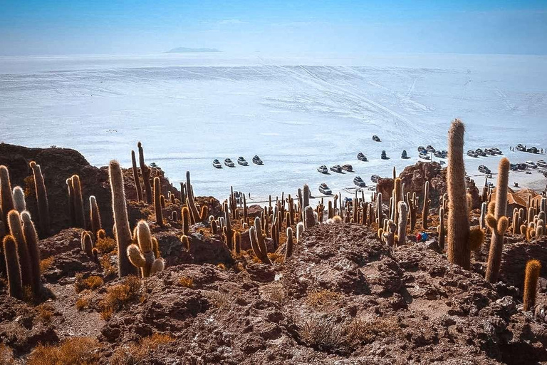 La Paz (La Paz) San Pedro de Atacama utflykt med saltlägenheter