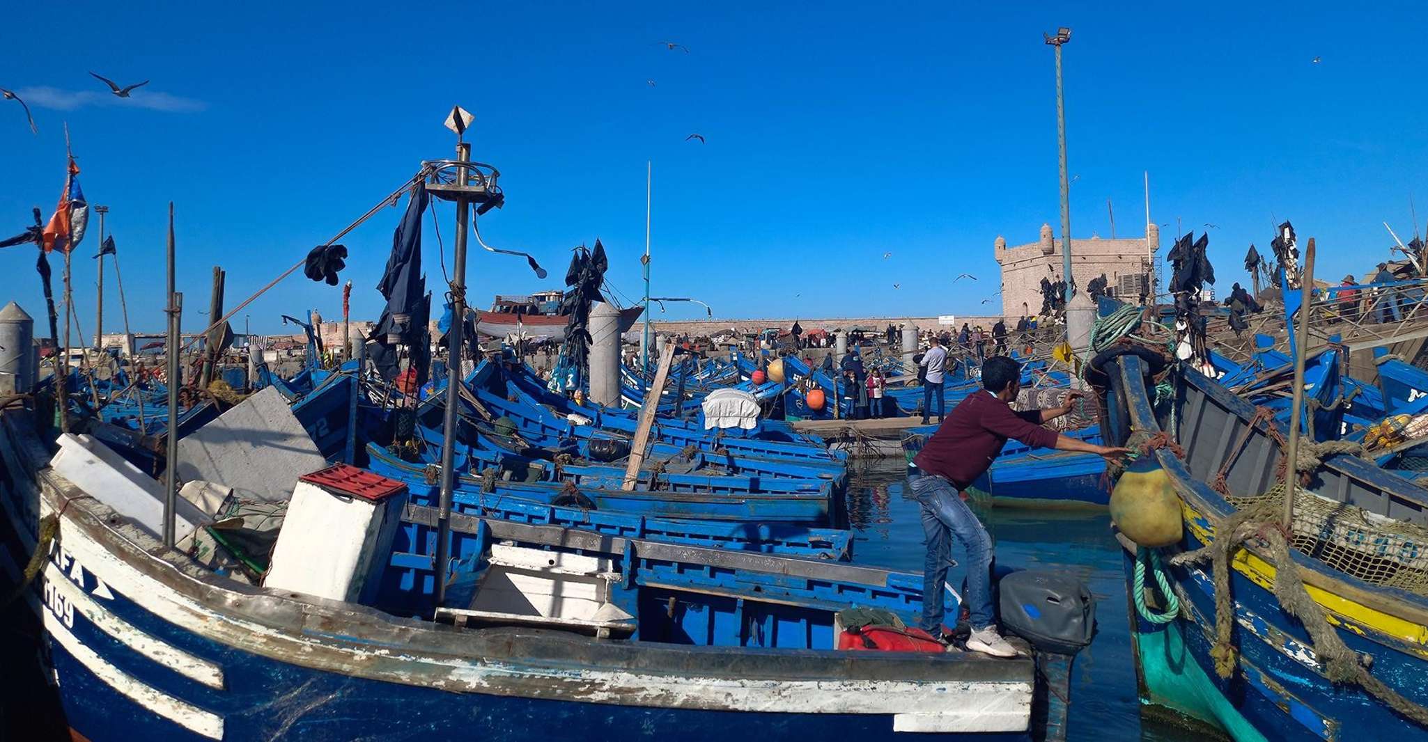 Essaouira, private day trip to the coast - Housity