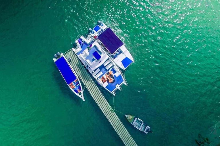 From Punta Cana: Samaná Whale Watching & Bacardi Island Tour From Punta Cana: Samaná Whale Watching & Bacardi Island Tour