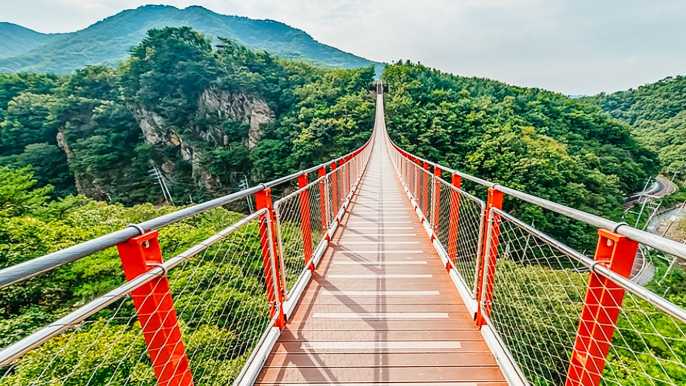 From Seoul: DMZ, 3rd Tunnel & Suspension Bridge Guided Tour