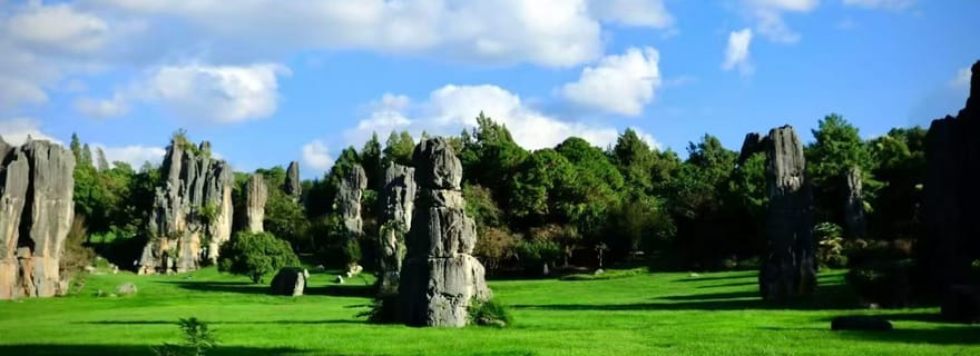 Kunming : Visite privée de la forêt de pierres