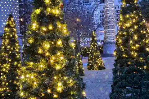 Atlanta: Tour a pie de Navidad