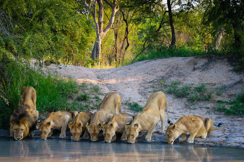 3 Days - Lake Manyara, Ngorongoro Crater and Tarangire