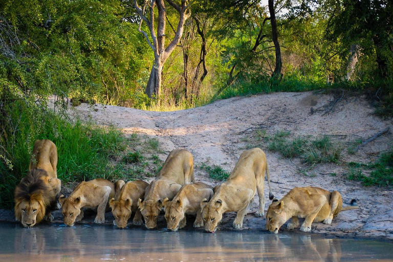 3 Days - Lake Manyara, Ngorongoro Crater and Tarangire