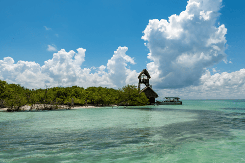 Ab Riviera Maya: Holbox Ganztagestour mit Mittagessen