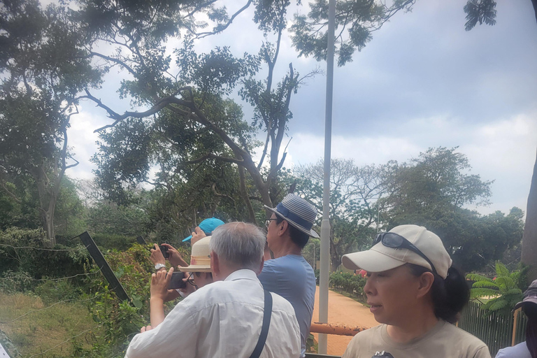Entebbe: Female-Led Guided Walking Tour