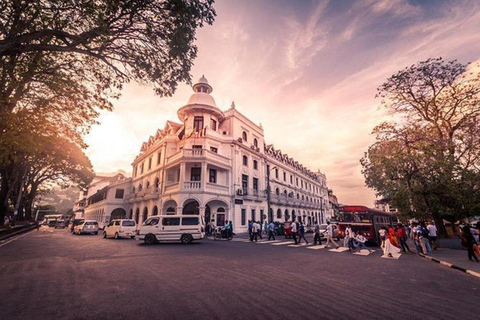 Bentota: Kandy Day Tour with Temple of the tooth & Gardens
