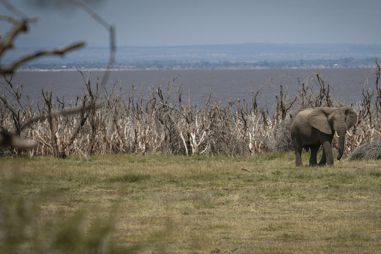 Tanzania Safari: Your Epic Experience