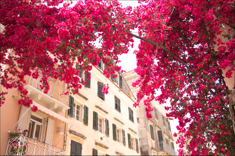 Corfu: Corfu Private Walking Tour