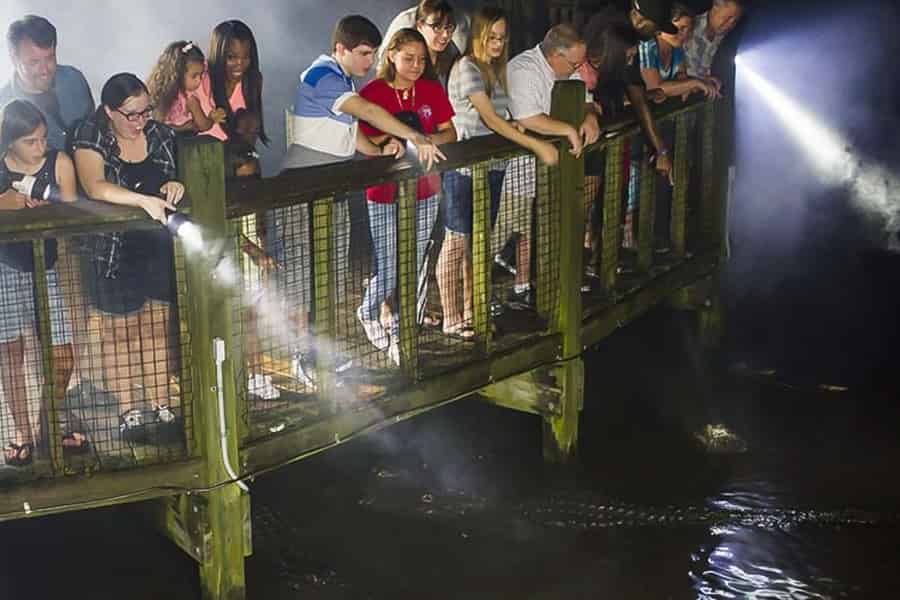 Orlando: Gatorland Taschenlampentour bei Nacht. Foto: GetYourGuide