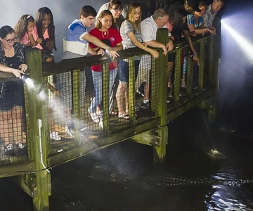 Gatorland Flashlight Tour på natten