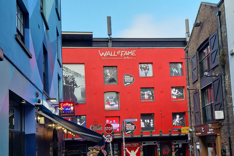 都柏林：都柏林市亮点私人导游徒步之旅意大利语私人旅游