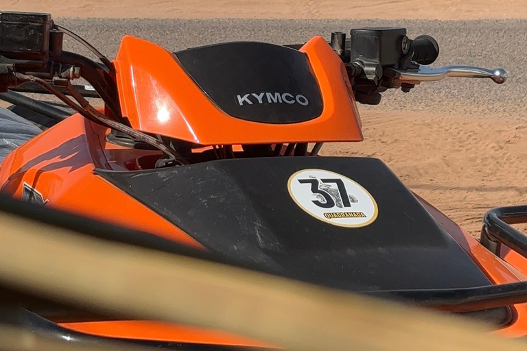Agadir: Quad or buggy ride desert adventure Agadir : Quad biking ride Tour adventure