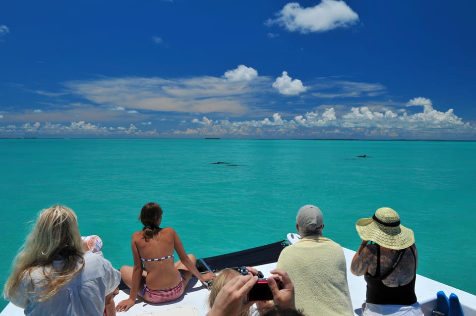 Passengers sitting on the bow of a boat on flat turquoise water, two dolphin fins breaking the surface in the middle distance