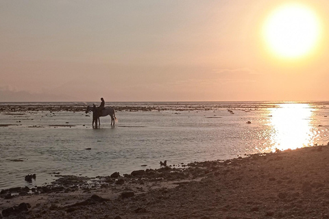 Gili Trawangan : Biking, Horse Riding, Paddle Boat & Sunset