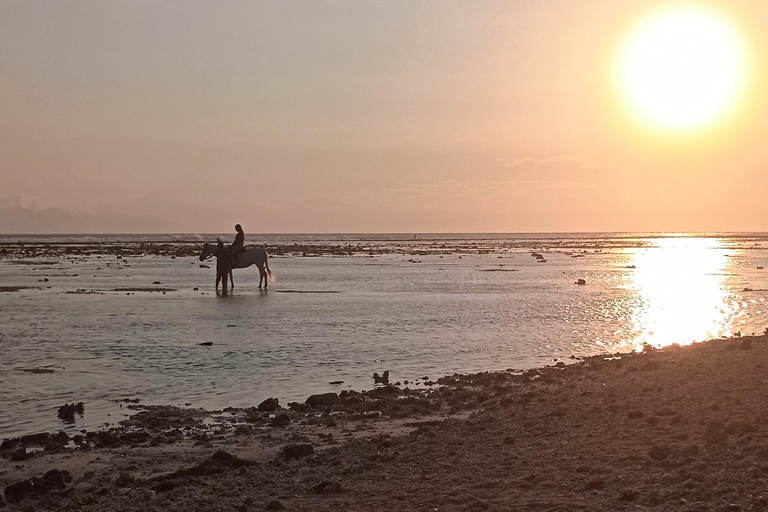 Gili Trawangan : Biking, Horse Riding, Paddle Boat & Sunset