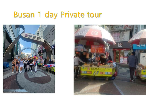 Busan private tour with a licensed tour guideEnglish speaking tour guide