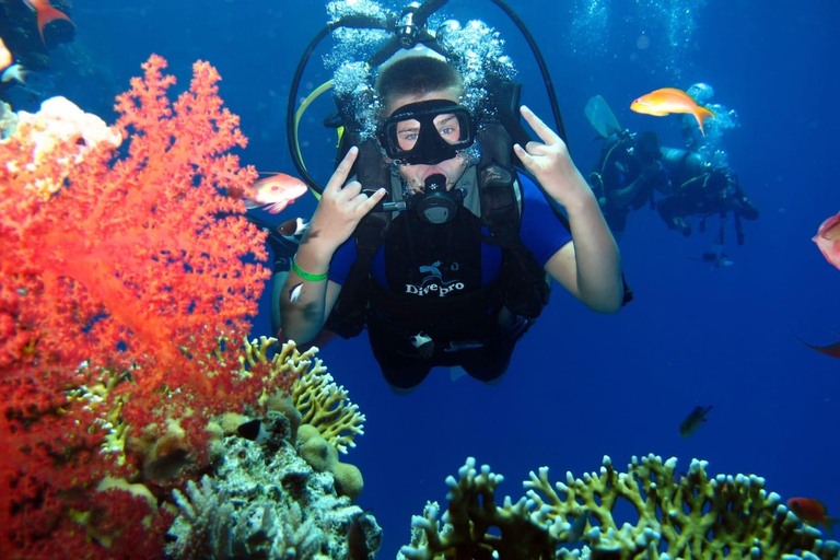 Depuis Sharm El-Sheikh : Excursion de plongée en apnée à Ras MohammedCroisière à Ras Mohammed et sur l'île blanche