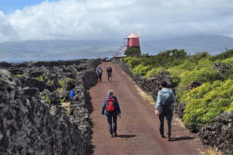 Breathe in Pico — Hike & Meditation