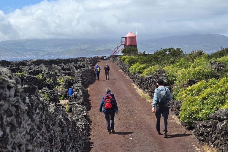 Breathe in Pico — Hike & Meditation