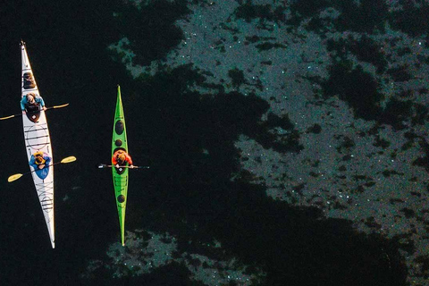 San Juan Island: West Side Half Day Kayak Tour Half Day