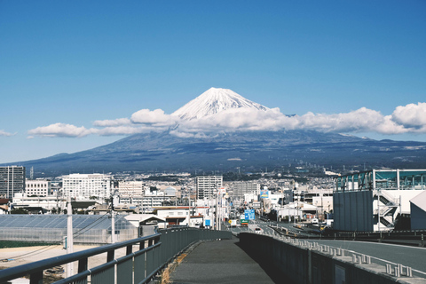 From Tokyo: Mount Fuji Highlight Photo Spots Full-Day Tour Group Tour with Shinjuku Meeting Point