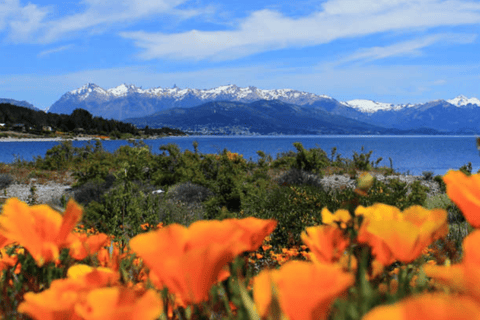 FROM BARILOCHE: SAN MARTIN DE LOS ANDES BY 7 LAKES
