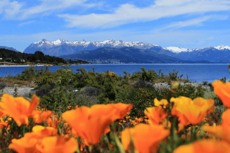 FROM BARILOCHE: SAN MARTIN DE LOS ANDES BY 7 LAKES