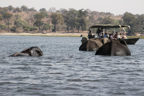 Excursión de un día al Parque Nacional de Chobe
