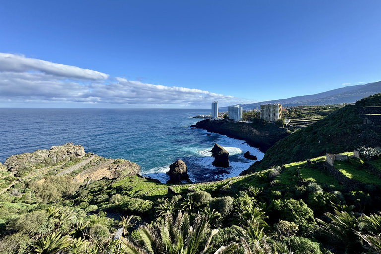 Puerto de la Cruz: Quad Tour with Off-Road Route, Viewpoints & Photos Single Quad (1 person per quad)