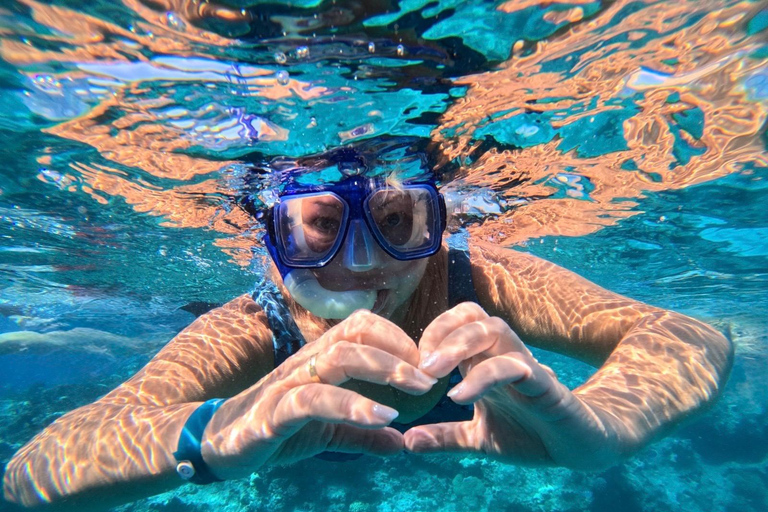 Hurghada: Dolphin House Morning Cruise & Swim with Dolphins Hurghada: Dolphin House Cruise/Swim with Dolphins