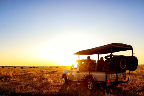 Excursión en coche por el Parque Nacional de Chobe