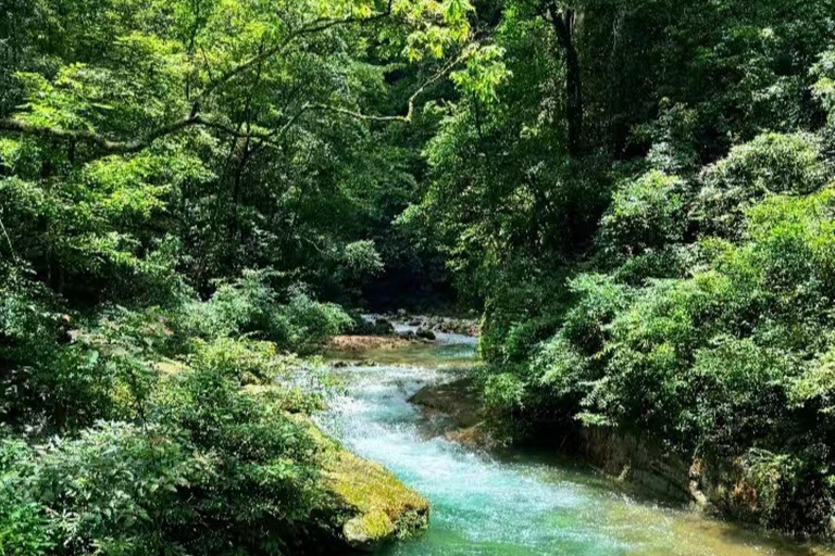 Zhangjiajie: National Park Ticket, Exclusive Hiking Guide & E-Book