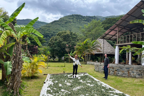 Cusco: 2-Day Coffee & Cacao Farm Stay Experience