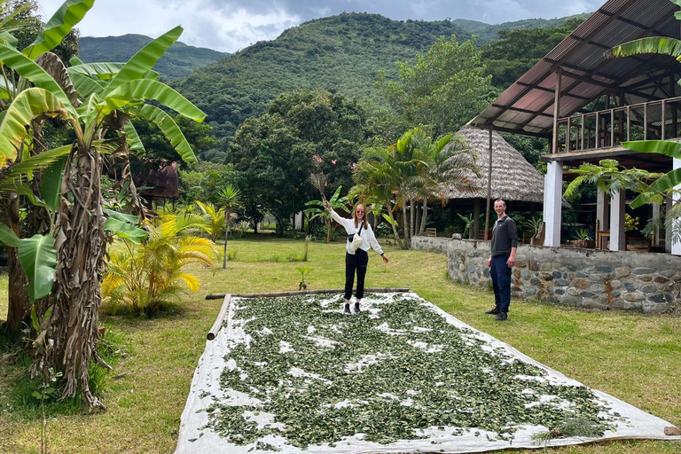 Cusco: 2-Day Coffee & Cacao Farm Stay Experience