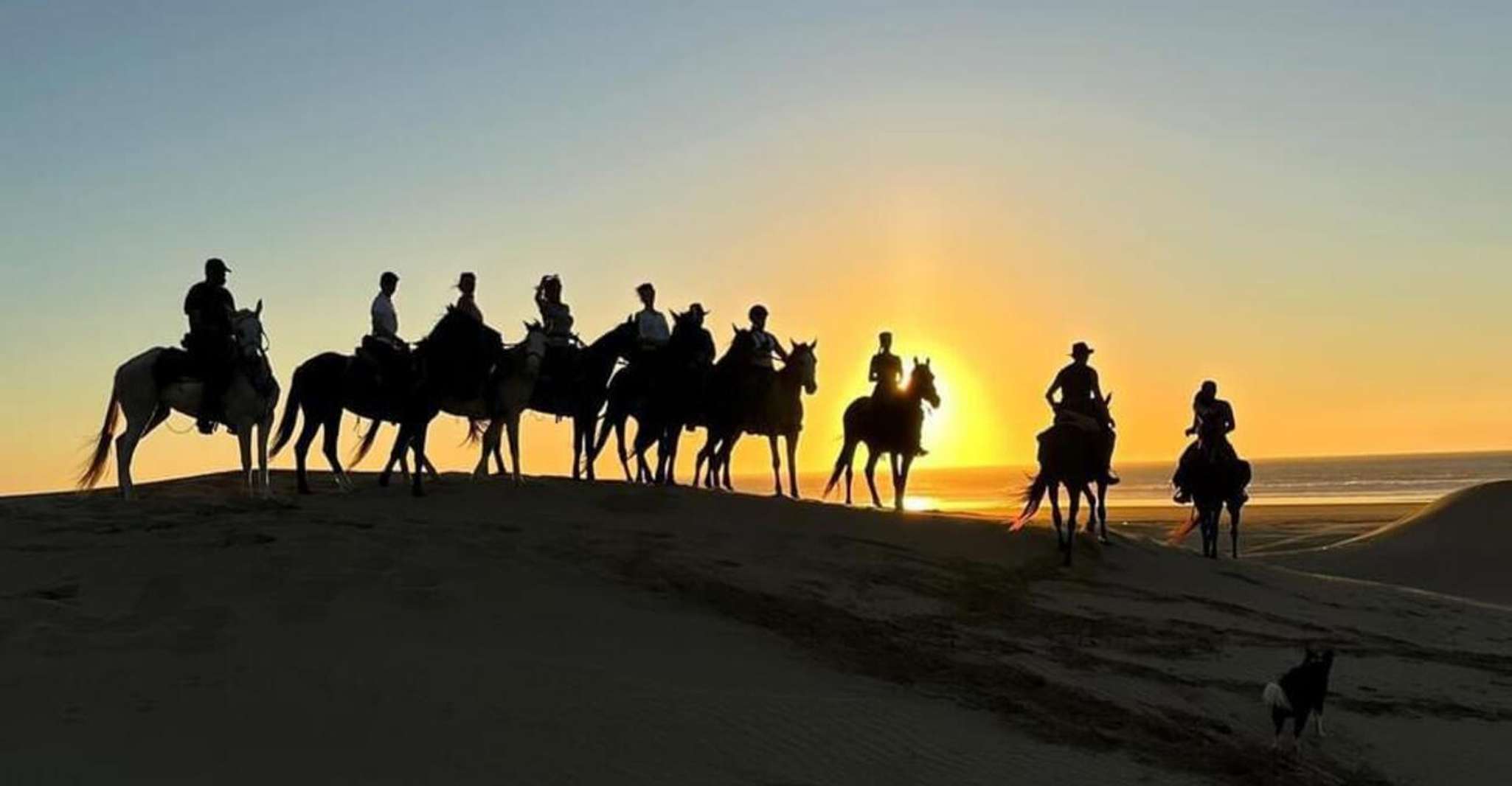 Agadir/ Taghazout, 2 heures de promenade à cheval sur la plage - Hizvo