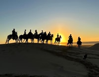 Agadir/ Taghazout, 2 ore a cavallo sulla spiaggia - Hizvo