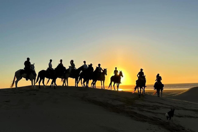 Agadir/ Taghazout: 2 Horas de Paseo a Caballo por la PlayaPaseo a caballo por Taghazout