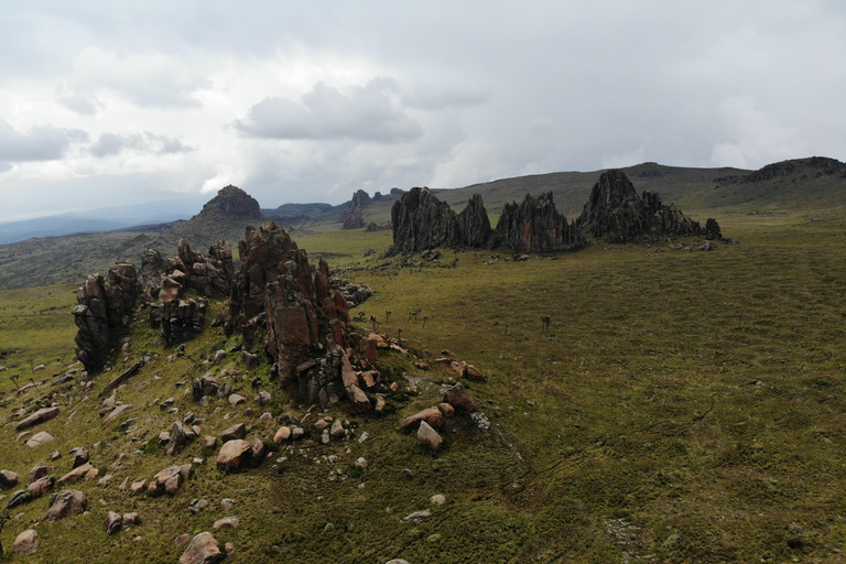 Aberdare National Park: Mount Satima Overnight Hike