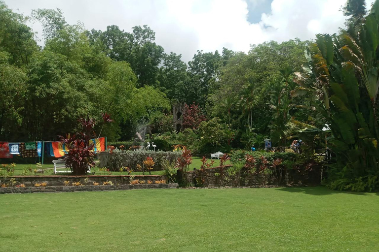 Grupo de excursão de meio dia em Basseterre