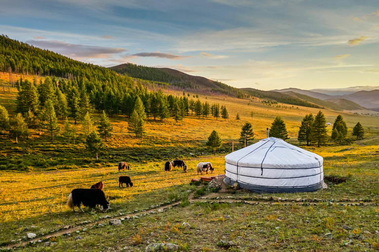 Ulaanbaatar: Terelj National Park 2-Day Tour & Horse Ride