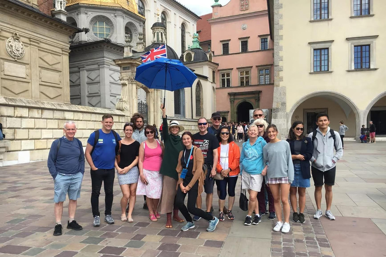 Historic Krakow: Old Town and Wawel Castle Walking Tour