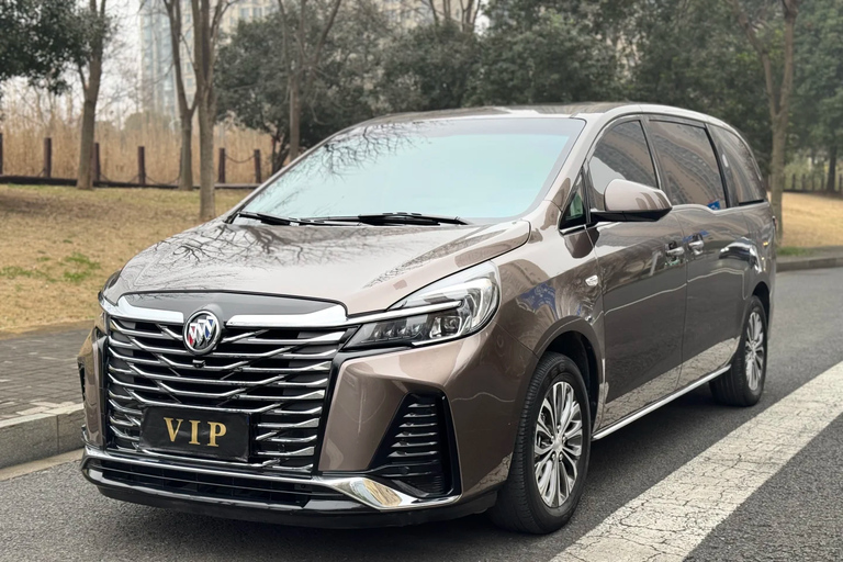 Guangzhou: Private Luxury Vehicle Tour - English or Spanish Guangzhou 8 Hour Tour - VOYAH DREAMPOWER/Buick